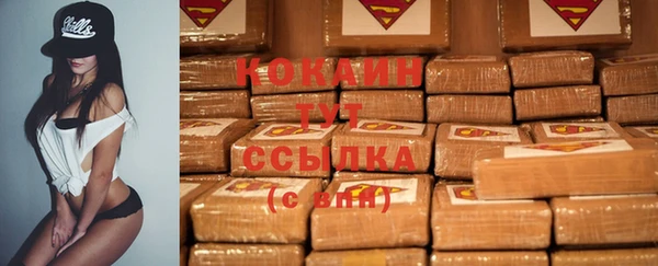 гидра Нея