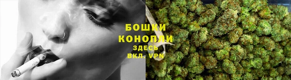 гидра Нея