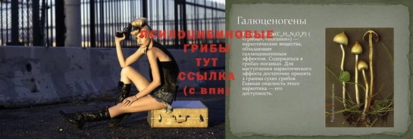 стаф Нефтекумск