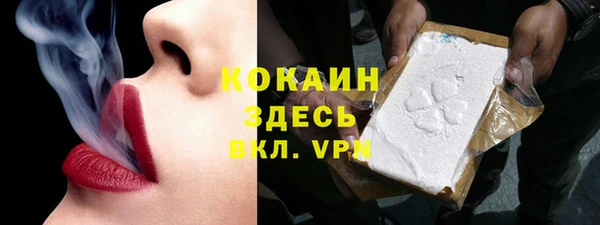 гидра Нея