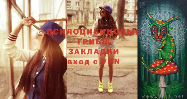 стаф Нефтекумск