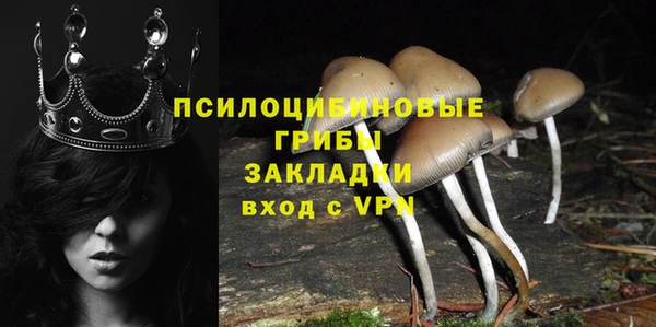 гидра Нея