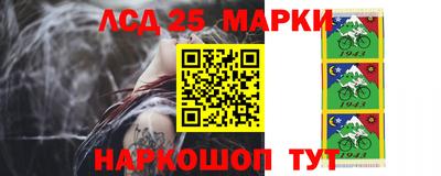 альфа пвп Заводоуковск